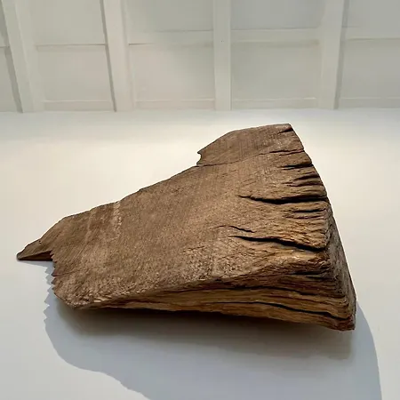 Διαμέρισμα La Cocca Via Saffi, Con Vasca In