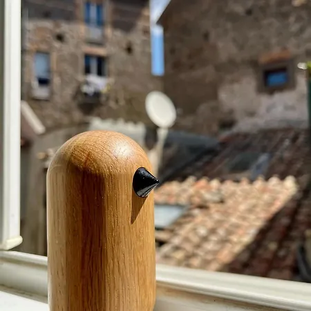 Apartman La Cocca Via Saffi, Con Vasca In *